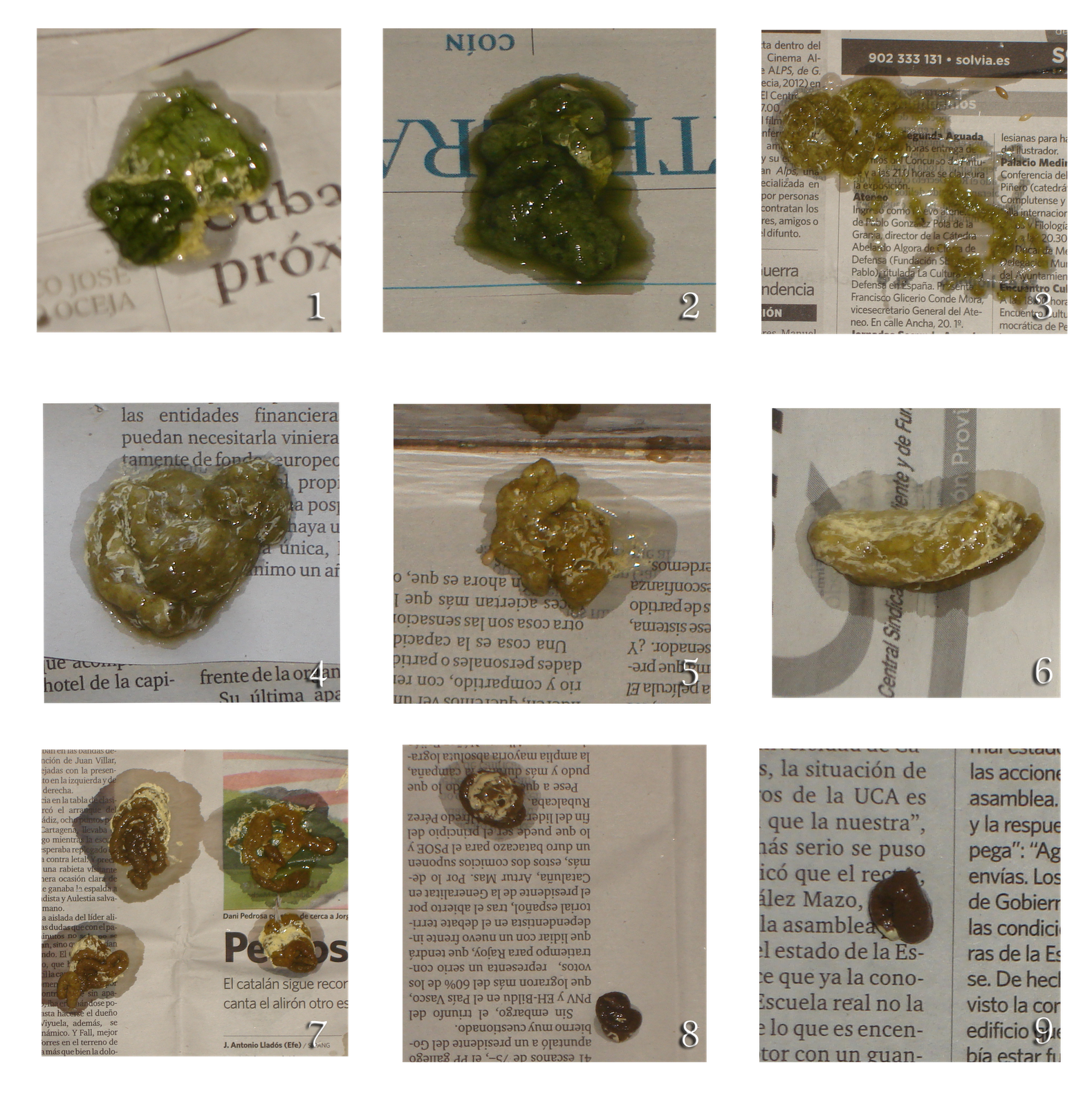 Cacas verdes en bebes de 1 mes